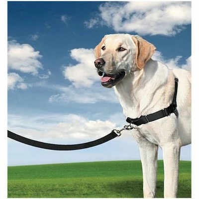 PetSafe® Easy Walk® Harness 4 PetSafe® Easy Walk® Harness - Image 2