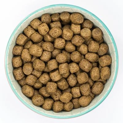 Burns Duck & Brown Rice - Adult & Senior Sensitive+ 6 Burns Duck & Brown Rice - Adult & Senior Sensitive+ - Image 4