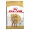Royal Canin Poodle Adult -Zooplus Sales Shop 61159 pla royalcanin adulthund poodle 6
