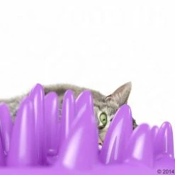 NORTHMATE ® Catch Cat Feeder -Zooplus Sales Shop 63169 karlie flamingo northmate catch mit katze1 5