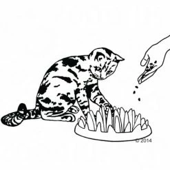 NORTHMATE ® Catch Cat Feeder -Zooplus Sales Shop 63169 karlie northmate catch zeichnung 0