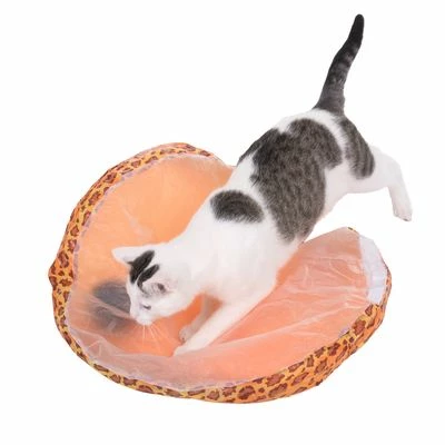 Funny Ball Cat Toy 5 Funny Ball Cat Toy - Image 3