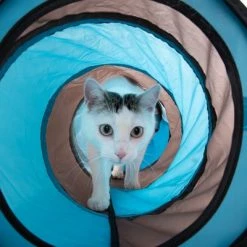 Connect 2-in-1 Cat Tunnel -Zooplus Sales Shop 69261 katzentunnel connect 2in1 fg 3167 2