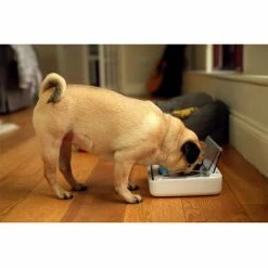 SureFeed Sealed Pet Bowl -Zooplus Sales Shop 69308 pla 6 luftdichte futt 3