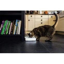 SureFeed Sealed Pet Bowl -Zooplus Sales Shop 69308 pla 7 luftdichte futt 5