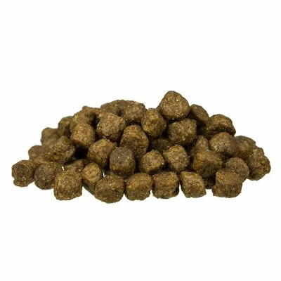 Bosch Adult Mini Senior Dry Dog Food 4 Bosch Adult Mini Senior Dry Dog Food - Image 2