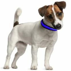 Eyenimal Light Collar USB - Blue -Zooplus Sales Shop 70073 eyenimal leuchthalsband usb blau hs 02 9