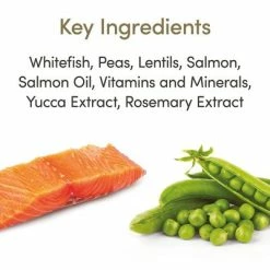 Applaws Cat Food Economy Packs 12 Applaws Cat Food Economy Packs -Zooplus Sales Shop 71009 applaws adult meeresfisch lachs hs 02 5