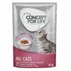 Concept For Life All Cats – In Gravy -Zooplus Sales Shop 71083 pla concept for life katze nass all cats sauce 85g 2