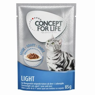 Concept For Life Light – In Gravy 3 Concept For Life Light – In Gravy