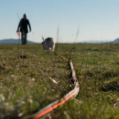 Heim Super-Grip Tracking Line 4 Heim Super-Grip Tracking Line - Image 2