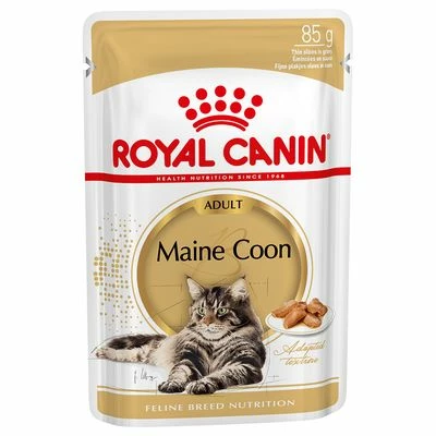 Royal Canin Maine Coon Adult In Gravy 4 Royal Canin Maine Coon Adult In Gravy - Image 2