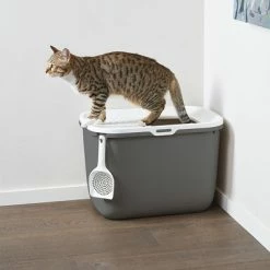 Savic Hop In Litter Box 15 Savic Hop In Litter Box -Zooplus Sales Shop 73657 savickatzentoilette hopin hs 09 6