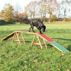 Trixie Dog Agility Bridge