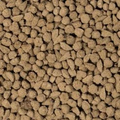 Beaphar Care+ Rabbit 12 Beaphar Care+ Rabbit -Zooplus Sales Shop 73777 beaphar care kaninchen 5kg hs 10 2 5