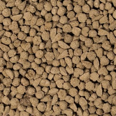 Beaphar Care+ Rabbit 5 Beaphar Care+ Rabbit - Image 3