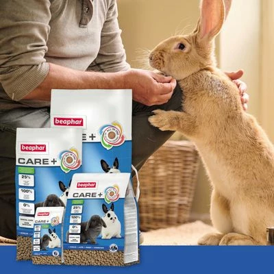 Beaphar Care+ Rabbit 4 Beaphar Care+ Rabbit - Image 2