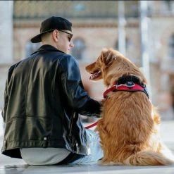 Julius K9 JULIUS-K9 IDC® Power Harness - Red 14 Julius K9 JULIUS-K9 IDC® Power Harness - Red -Zooplus Sales Shop 73982 julius k9 idc powergeschirr rot hs11 1