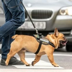 Julius K9 JULIUS-K9 IDC® Power Harness - Camouflage -Zooplus Sales Shop 73991 julius k9 idc powergeschirr camouflage hs7 8