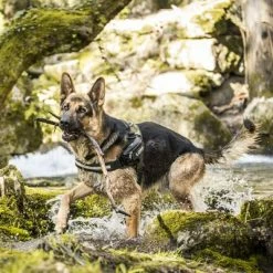 Julius K9 JULIUS-K9 IDC® Power Harness - Camouflage -Zooplus Sales Shop 74075 julius k9 idc powergeschirr camouflage 2 9