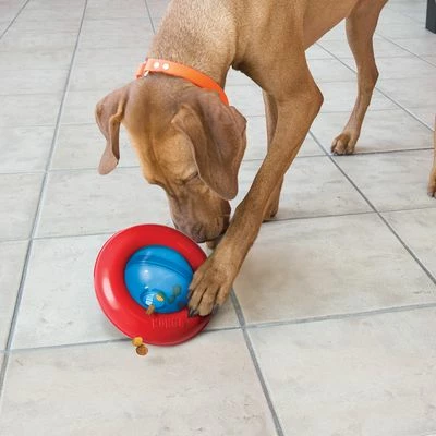 KONG Gyro 5 KONG Gyro - Image 3