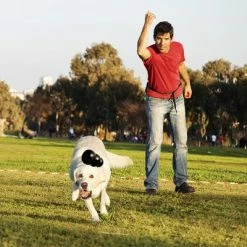 KONG Extreme Black -Zooplus Sales Shop 74319 kongextremeschwarz hs 02 0