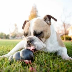 KONG Extreme Black -Zooplus Sales Shop 74319 kongextremeschwarz hs 05 5