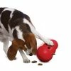 KONG Wobbler Dog Toy -Zooplus Sales Shop 74323 kong wobbler 1