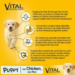 Pedigree Junior Medium Complete - Chicken & Rice -Zooplus Sales Shop 7505 mars pedigree junior medium chickenrice hs 03 3