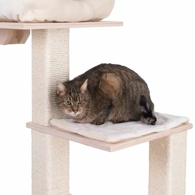 Natural Paradise Scratching Tree - Orchid Vanda L 8 Natural Paradise Scratching Tree - Orchid Vanda L - Image 6