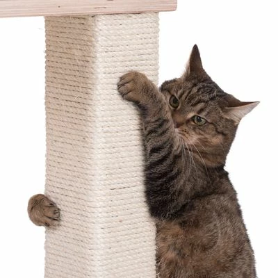 Natural Paradise Scratching Tree - Orchid Vanda L 7 Natural Paradise Scratching Tree - Orchid Vanda L - Image 5