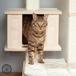 Natural Paradise Scratching Tree - Orchid Vanda L 16 Natural Paradise Scratching Tree - Orchid Vanda L -Zooplus Sales Shop 75552 np kb qiii 1000x1000 logo la mg 5796 4