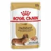 Royal Canin Dachshund Mousse 2 Royal Canin Dachshund Mousse -Zooplus Sales Shop 77841 pla royal canin breed dachshund 85g 2