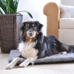 Pawz & Pepper Aurora Ortho Dog Mattress 12 Pawz & Pepper Aurora Ortho Dog Mattress -Zooplus Sales Shop 78424 petlando pawzpepper hundekissen denver hs 08 6