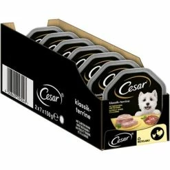 Cesar Classic Trays -Zooplus Sales Shop 78459 mars cesar klassiker huhn truthahn hs 02 9