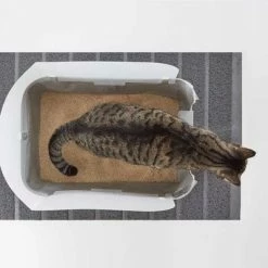 Modkat Cat Litter Tray -Zooplus Sales Shop 79339 modkat tray katzentoilette hs 04 4