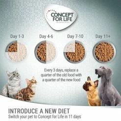Concept For Life Kitten – In Gravy -Zooplus Sales Shop 7 cfl board feeding 1000x1000 1 5 3