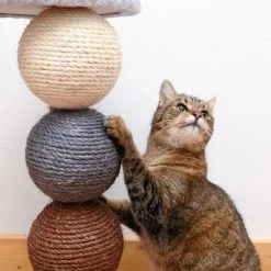 Planet Scratch Post 15 Planet Scratch Post -Zooplus Sales Shop 80399 kratzbaum und katze fg 1295 4