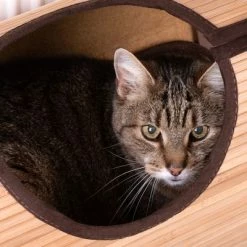 Natural Retreat Radiator Cat Bed -Zooplus Sales Shop 80410 heizungsliege natural retreat fg 9182 9