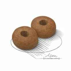 Royal Canin Maxi Ageing 8+ -Zooplus Sales Shop 80638 royalcanin maxiageing 8plus 15kg crocs hs 02 4