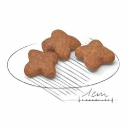 Royal Canin Mini Adult 8+ -Zooplus Sales Shop 80653 royalcanin miniadult 8plus croc hs 02 4