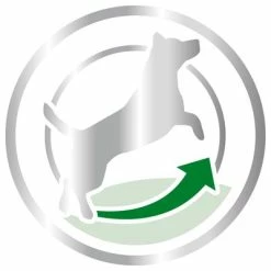 Royal Canin Mini Adult 8+ -Zooplus Sales Shop 80653 royalcanin miniadult 8plus picto hs 03 1