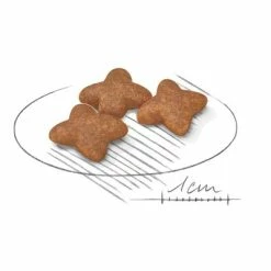 Royal Canin Mini Adult -Zooplus Sales Shop 80735 royalcanin miniadult 8kg croc hs 02 9