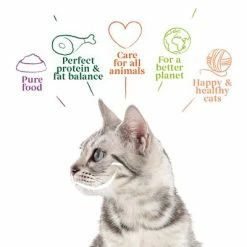 Yarrah Organic Fillets In Sauce 14 X 85g -Zooplus Sales Shop 8122 cat pouch beef 85g 8714265000843 2 9