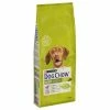 Purina Dog Chow Adult Lamb -Zooplus Sales Shop 82100 pla dog chow adult medium lamb 14k 3