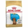 Royal Canin Dachshund Puppy -Zooplus Sales Shop 84603 pla royalcanin puppyhund dachshund 6