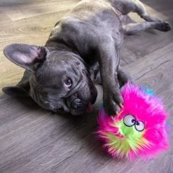 GoDog® Rainbow Furballz -Zooplus Sales Shop 84956 godog furballzregenbogen hs 06 0