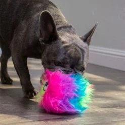 GoDog® Rainbow Furballz -Zooplus Sales Shop 84956 godog furballzregenbogen hs 09 4