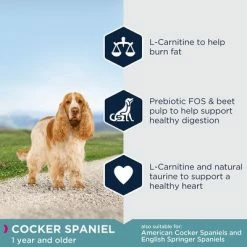 Eukanuba Cocker Spaniel Adult -Zooplus Sales Shop 8710255120294 9