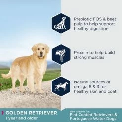 Eukanuba Golden Retriever Adult -Zooplus Sales Shop 8710255120348 7